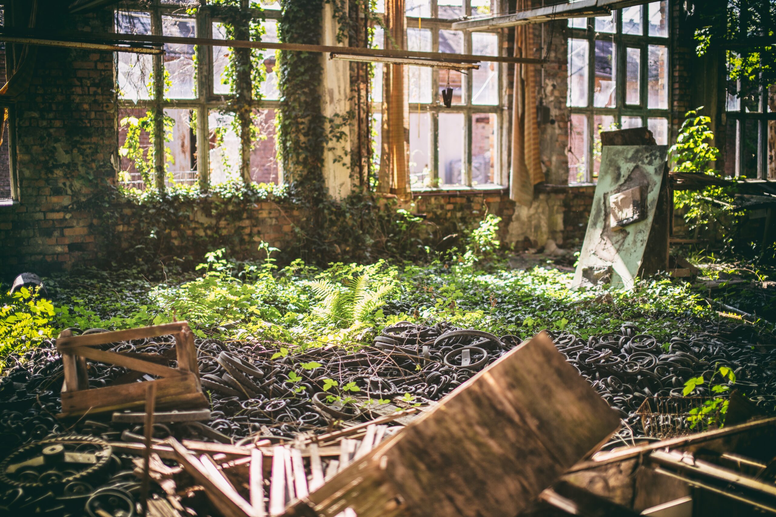 View of Balancing Simplicity and Nostalgia: Top Trends in Minimalist Vintage ...